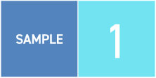 SAMPLE1
